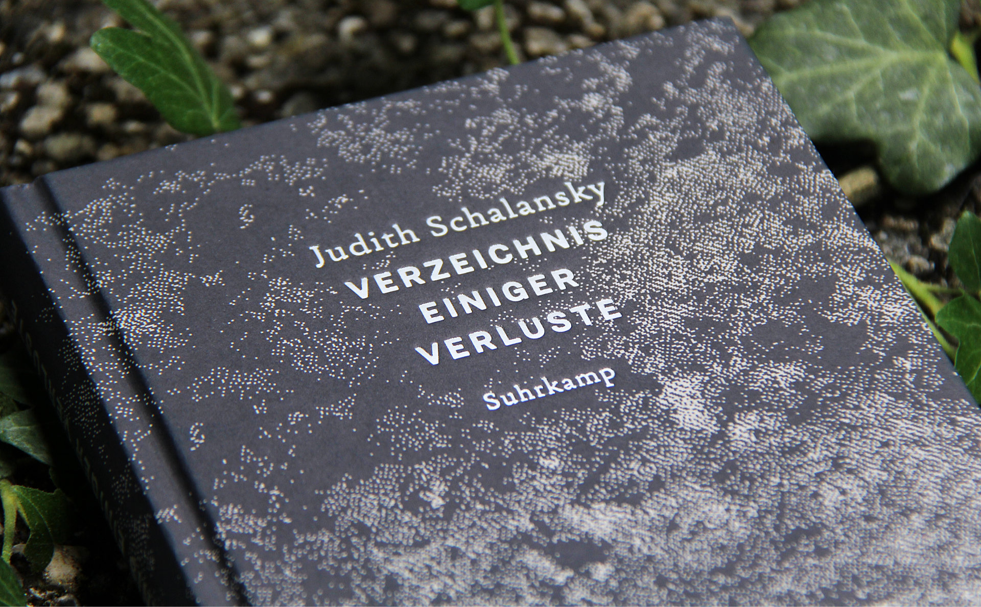 Verzeichnis einiger Verluste • Judith Schalansky – lesestunden